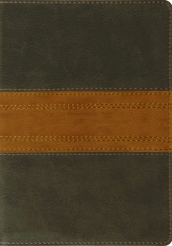 ESV Large Print Bible