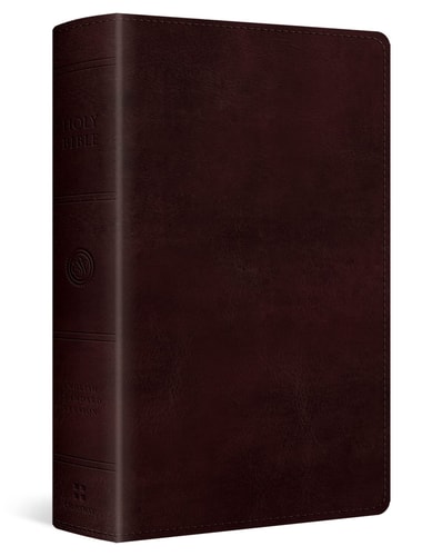 ESV Large Print Personal Size Bible