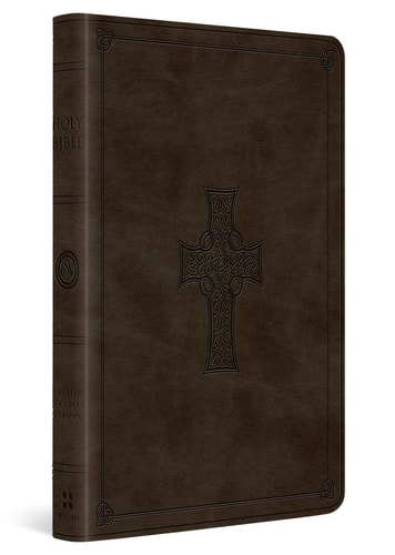ESV Large Print Value Thinline Bible