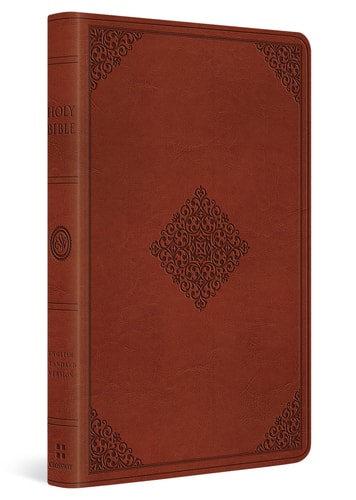 ESV Large Print Value Thinline Bible
