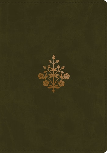 ESV Study Bible