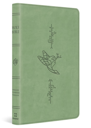 ESV Kid's Bible, Thinline