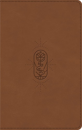 ESV Kid's Bible, Thinline
