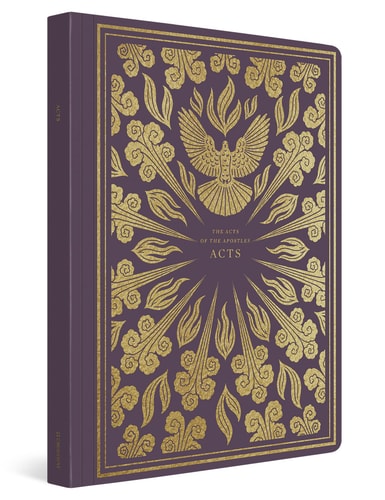 ESV Illuminated Scripture Journal