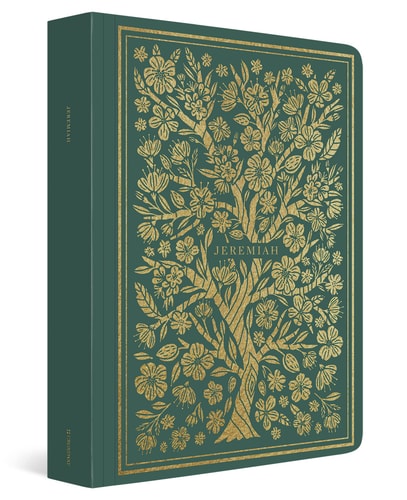 ESV Illuminated Scripture Journal