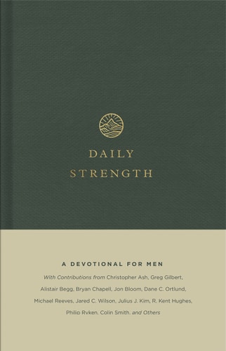 Daily Strength: A Devotional for Men - Damaged