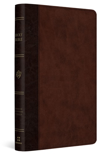 ESV Large Print Thinline Reference Bible