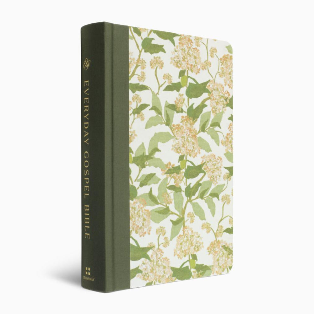 ESV Everyday Gospel Bible: Connecting Scripture to All of Life