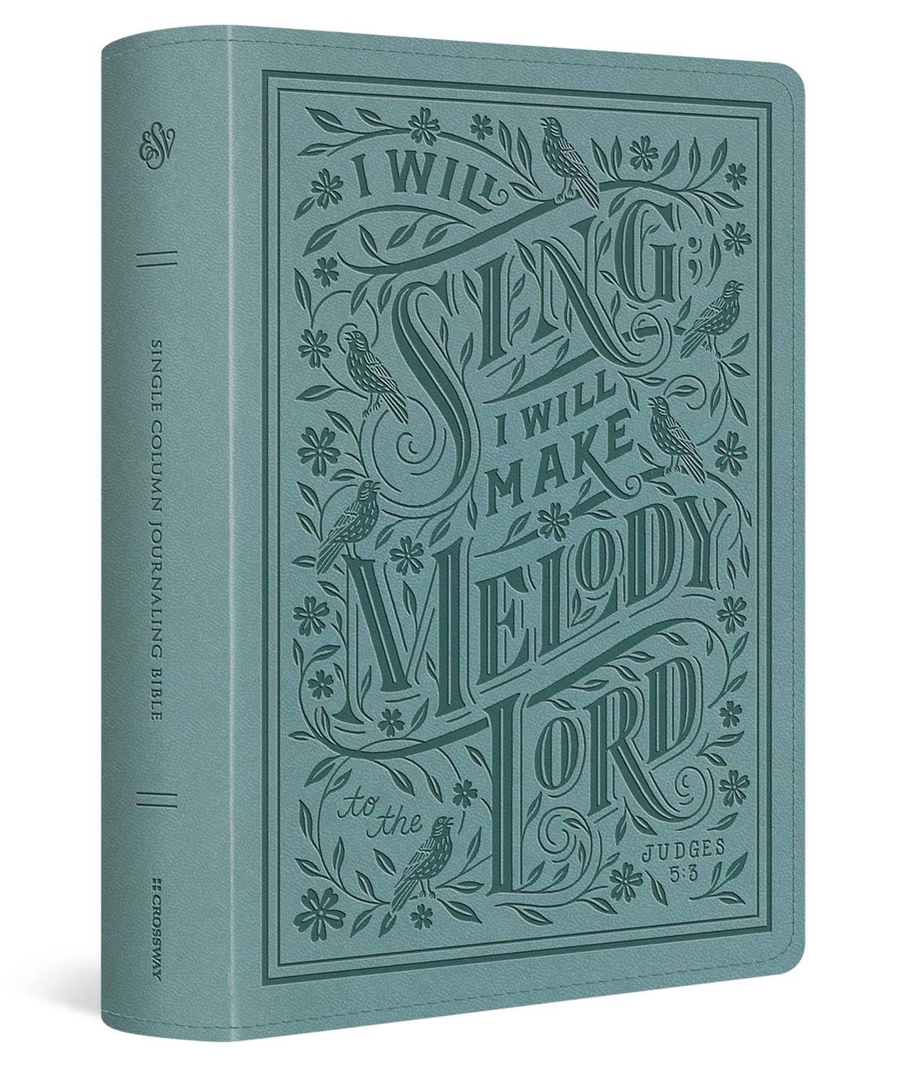 ESV Single Column Journaling Bible, Large Print