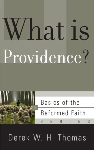 What Is Providence? (Basics of the Faith) (Basics of the Reformed Faith)