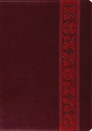 ESV Study Bible