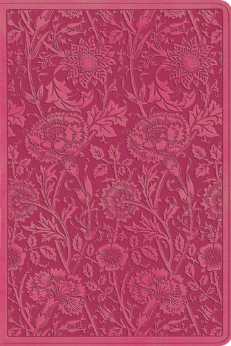 ESV Personal Reference Bible