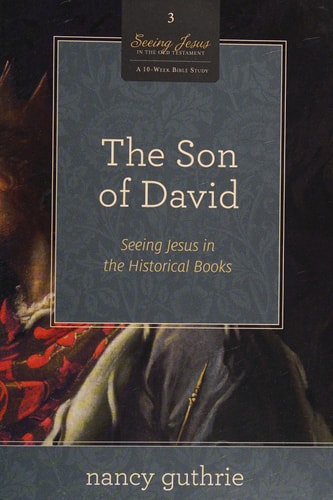 The Son of David: Seeing Jesus in the Historical Books (A 10-week Bible Study) (Volume 3)