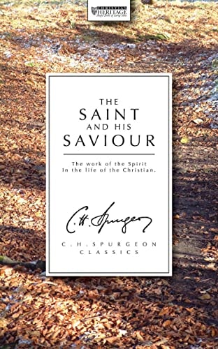 The Saint and His Saviour: The Progress of the Soul in the Knowledge of Jesus