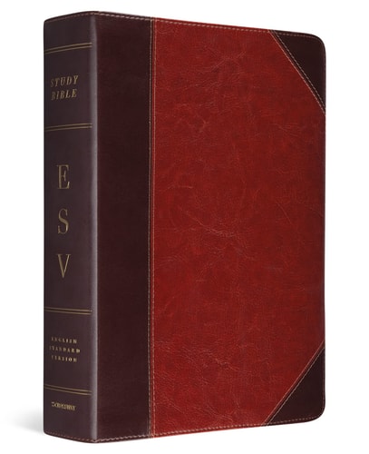 ESV Study Bible