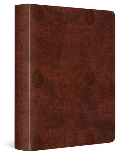 ESV Single Column Journaling Bible