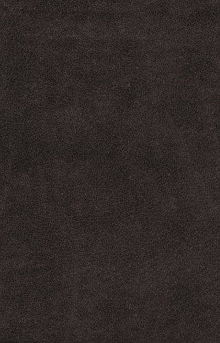 ESV Holy Bible, Value Edition
