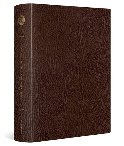 ESV Single Column Journaling Bible, Large Print