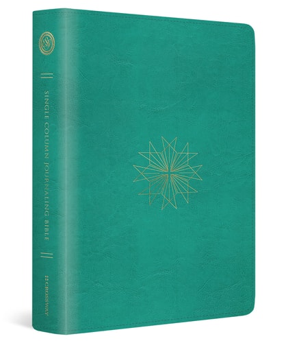 ESV Single Column Journaling Bible