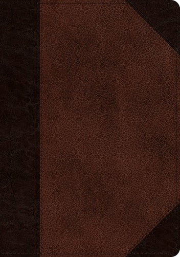 ESV Single Column Journaling Bible, Large Print