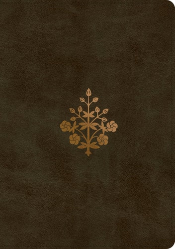 ESV Single Column Journaling Bible, Large Print