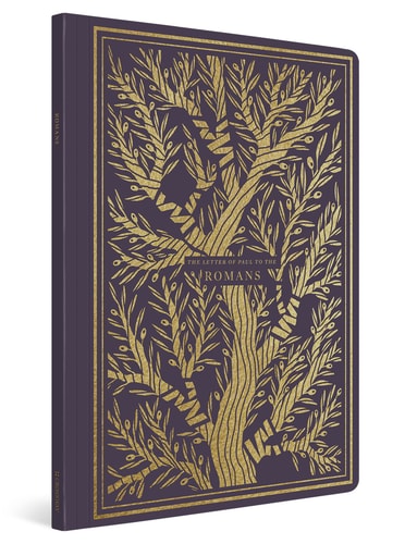 ESV Illuminated Scripture Journal