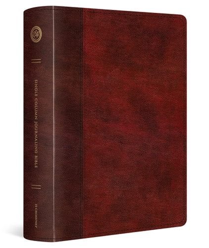 ESV Single Column Journaling Bible, Large Print