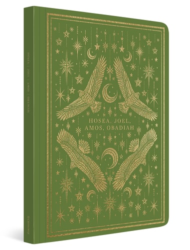 ESV Illuminated Scripture Journal