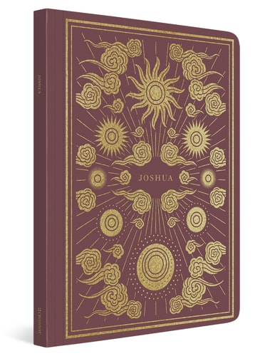 ESV Illuminated Scripture Journal