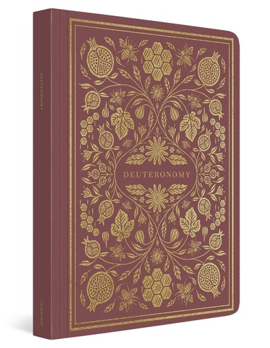ESV Illuminated Scripture Journal