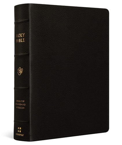 ESV Single Column Journaling Bible, Large Print
