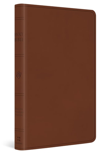 ESV Large Print Value Thinline Bible