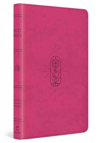 ESV Kid's Bible, Thinline