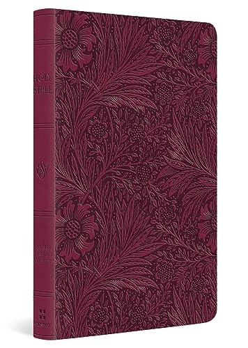 ESV Large Print Value Thinline Bible