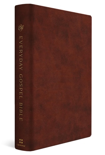 ESV Everyday Gospel Bible: Connecting Scripture to All of Life