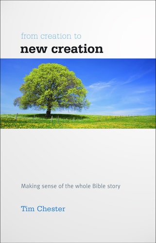 From Creation to New Creation (Accessible Theology)