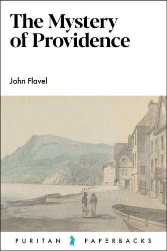 The Mystery of Providence (Puritan Paperbacks)