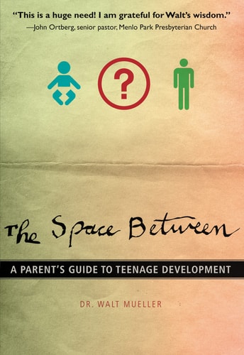 The Space Between: A Parent's Guide to Teenage Development (Youth Specialties (Paperback))