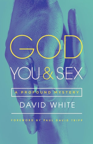 God, You, & Sex: A Profound Mystery