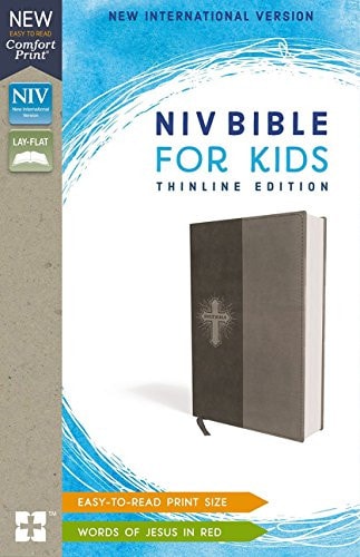 NIV, Bible for Kids, Leathersoft, Gray, Red Letter, Comfort Print: Thinline Edition