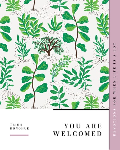 You Are Welcomed: Devotions for When Life Is a Lot (Gospel Truth for Women)