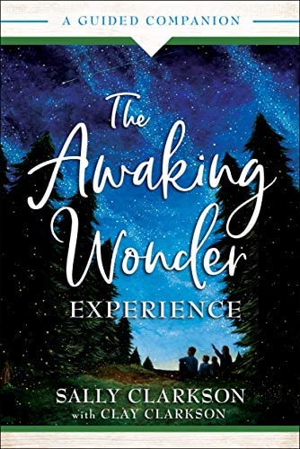 Awaking Wonder Experience