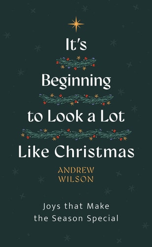 It’s Beginning to Look a Lot Like Christmas: Joys That Make the Season Special