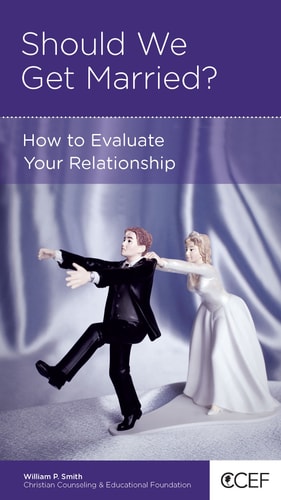 Should We Get Married?: How To Evaluate Your Relationship