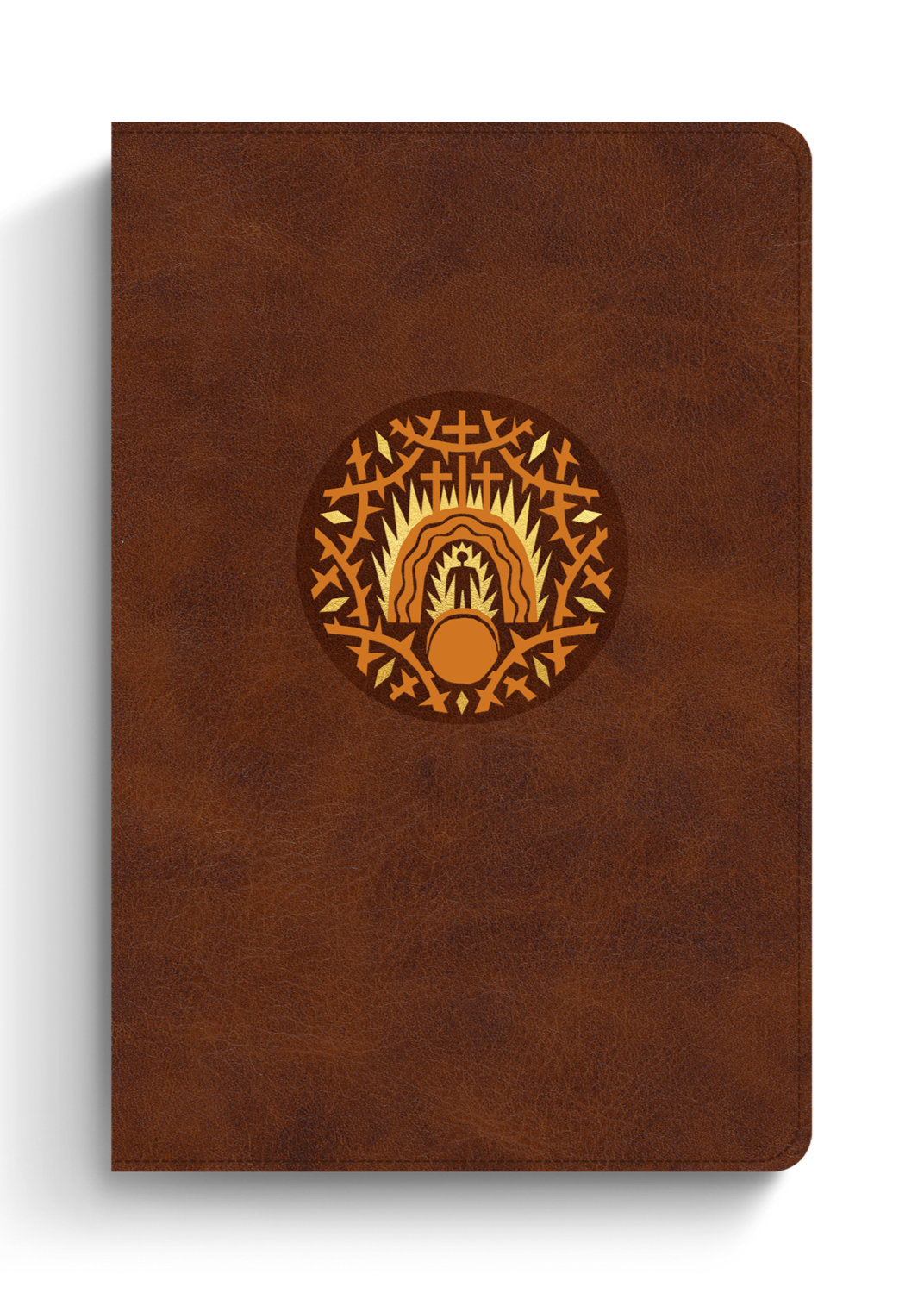 The Biggest Story Holy Bible for Kids