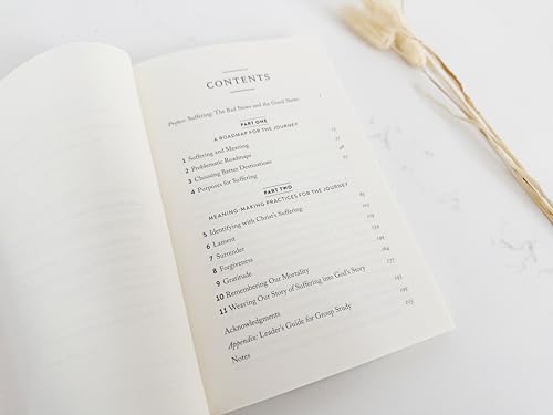 When the Journey Hurts: Finding Meaning in Suffering for Heart, Mind, and Soul
