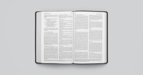 ESV Giant Print Value Thinline Bible