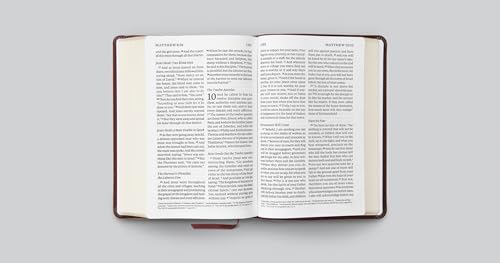 ESV Giant Print Personal Size Bible (TruTone, Chestnut): Holy Bible, English Standard Version