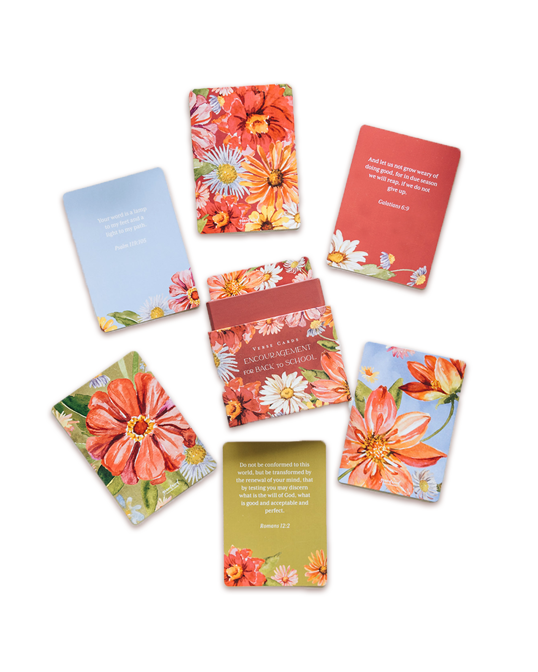 GraceLaced by Ruth Chou Simons - Verse Cards: Encouragement for Back to School