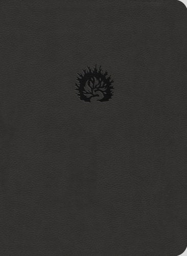Reformation Study Bible (2015) ESV, Leather-Like Charcoal